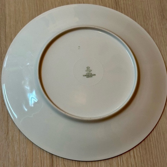 Vintage Bavaria Tirschenreuth Plate – White w/ Floral Design, Silver Rim, Rare - Picture 14 of 16